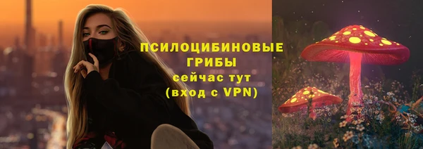 мяу мяу мука Новодвинск