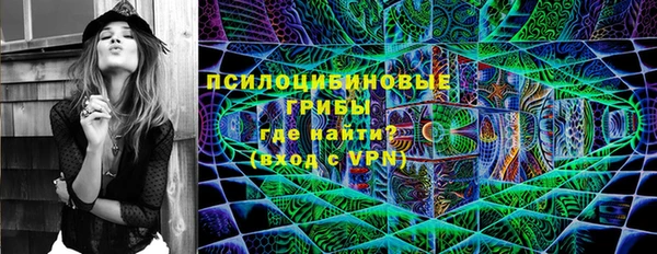 мяу мяу мука Новодвинск