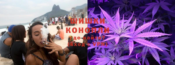 МДПВ Бикин